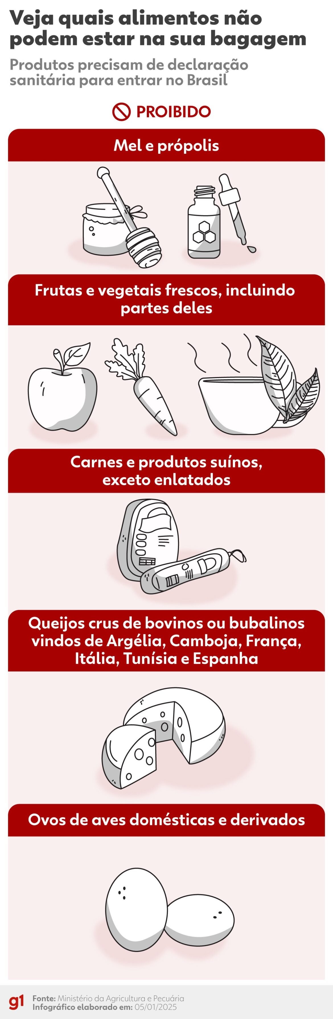 vai-trazer-comida-do-exterior?-veja-o-que-pode-entrar-no-brasil-e-o-que-exige-autorizacao-|-g1