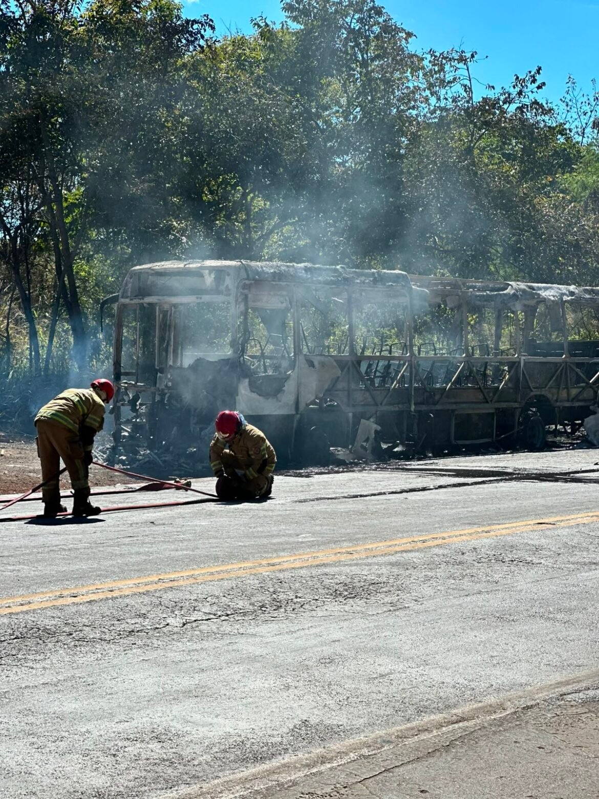 onibus-pega-fogo-na-br-365-e-chamas-se-alastram-para-vegetacao-as-margens-da-rodovia