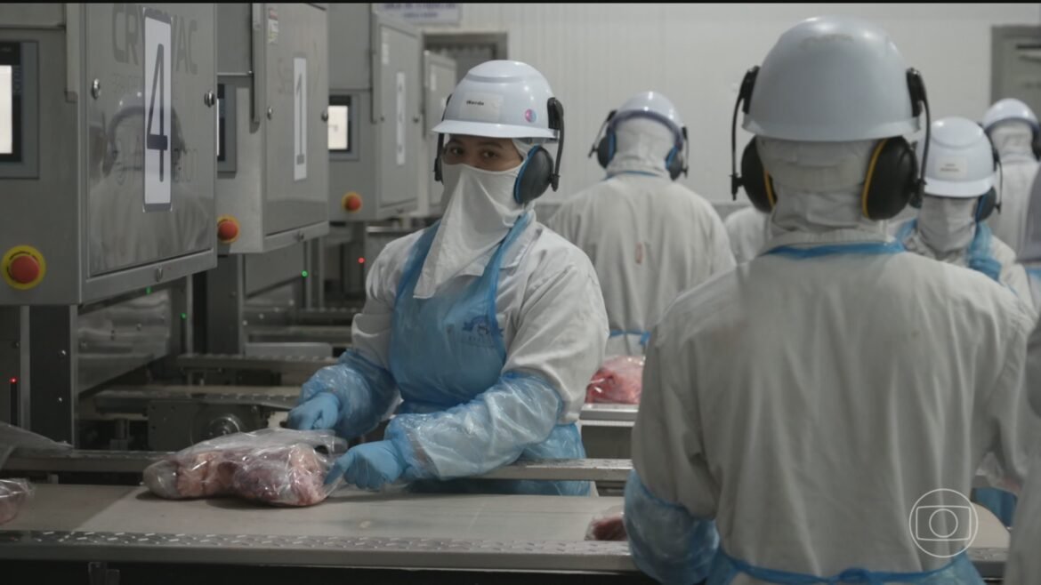 brasil-praticamente-esgota-cota-de-carne-bovina-a-china-e-reduz-abates,-diz-stonex-|-g1