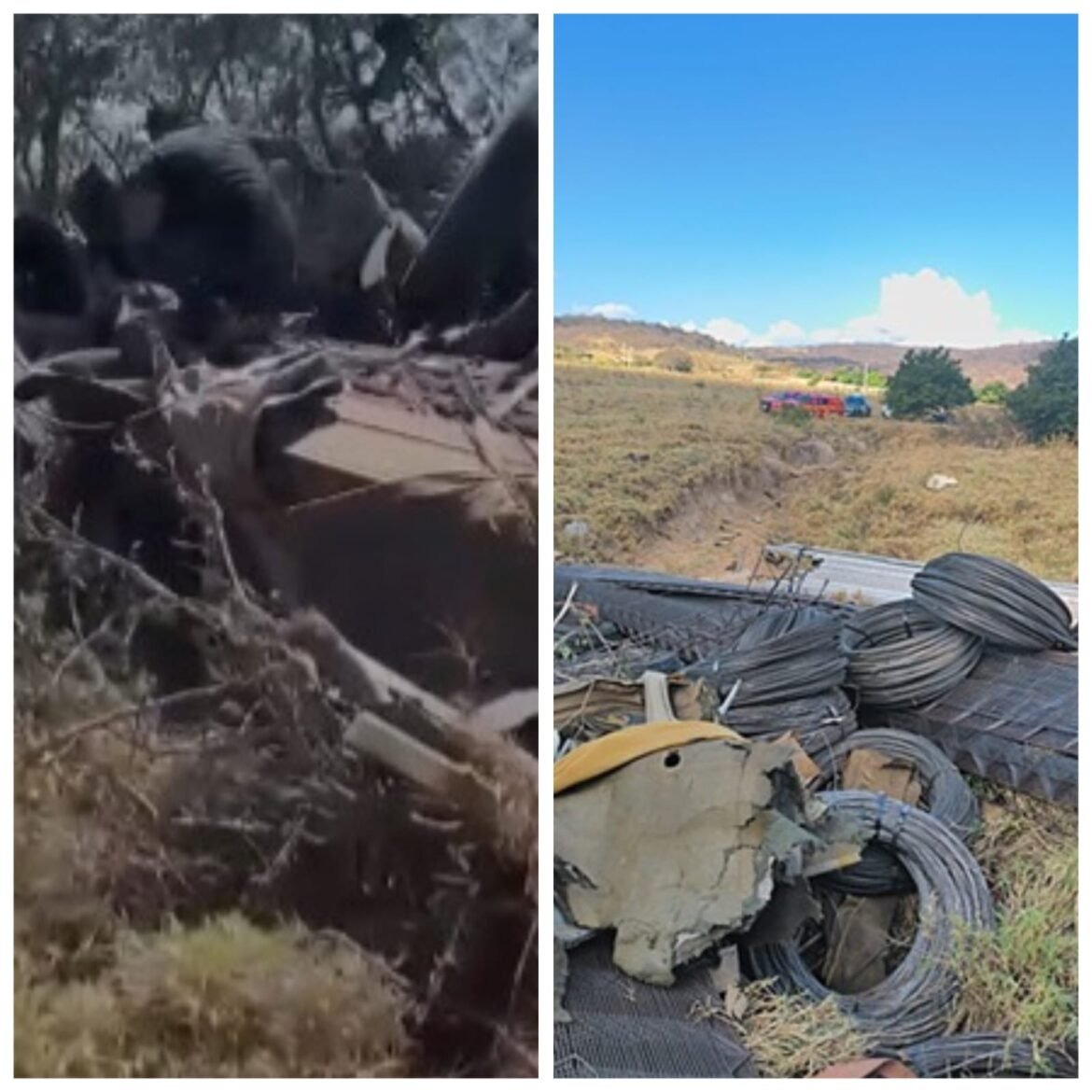 caminhoneiro-morre-apos-passar-direto-em-curva-e-invadir-fazenda-as-margens-da-lmg-635,-em-mato-verde