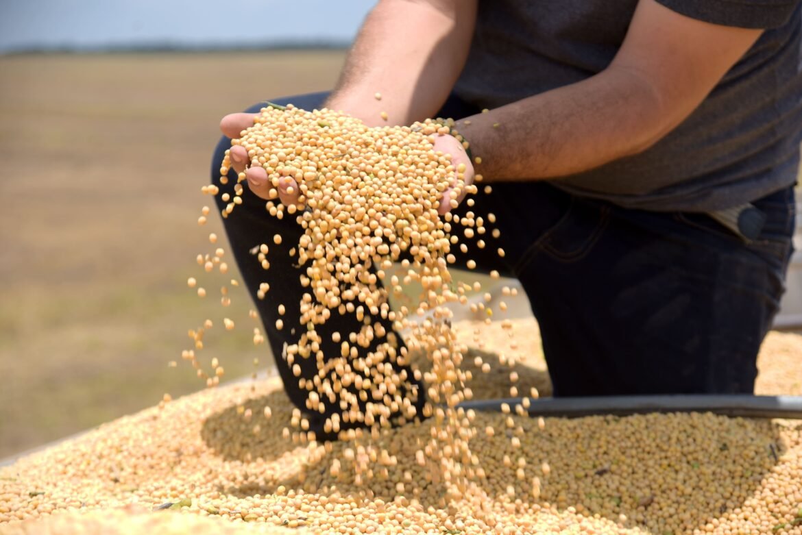tarifaco-deve-atingir-36%-das-exportacoes-do-agro-brasileiro,-diz-cna-|-g1