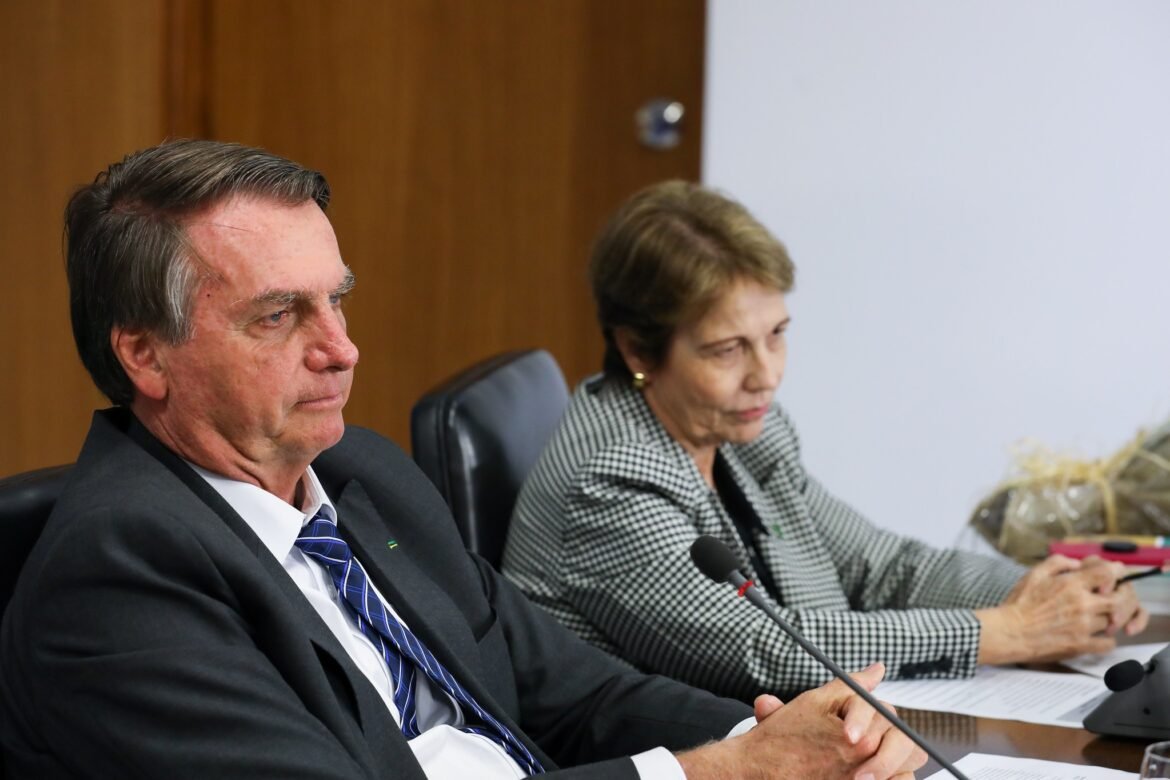 ex-ministra-de-jair-bolsonaro-recusa-ser-candidata-a-vice-presidente-de-flavio-bolsonaro