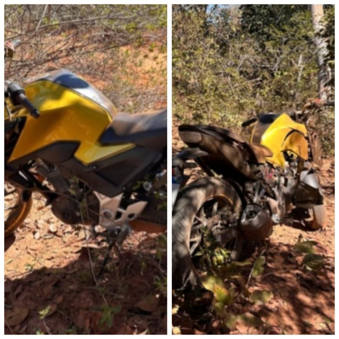 motociclista-morre-apos-bater-em-arvore-em-estrada-rural-de-januaria