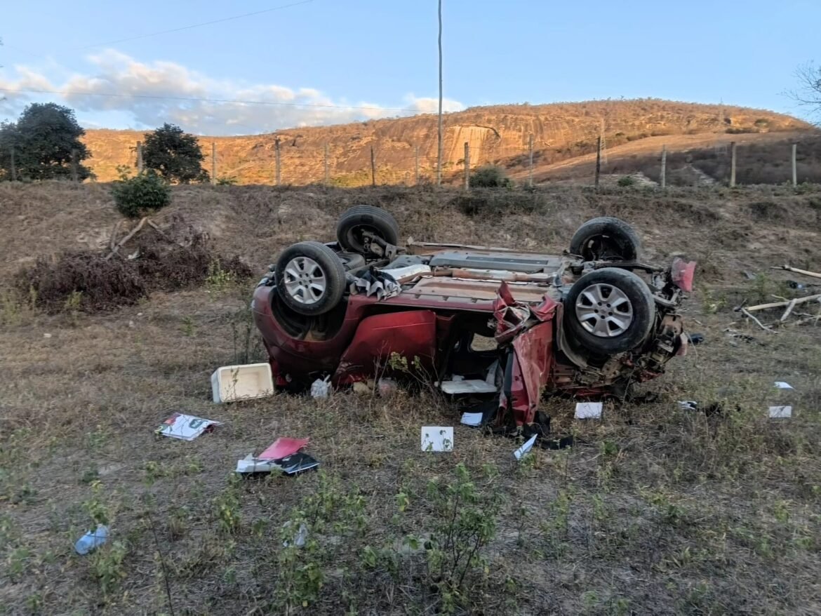 carro-capota,-idosa-morre-e-sobreviventes-sao-atacados-por-enxame-de-abelhas-em-mg