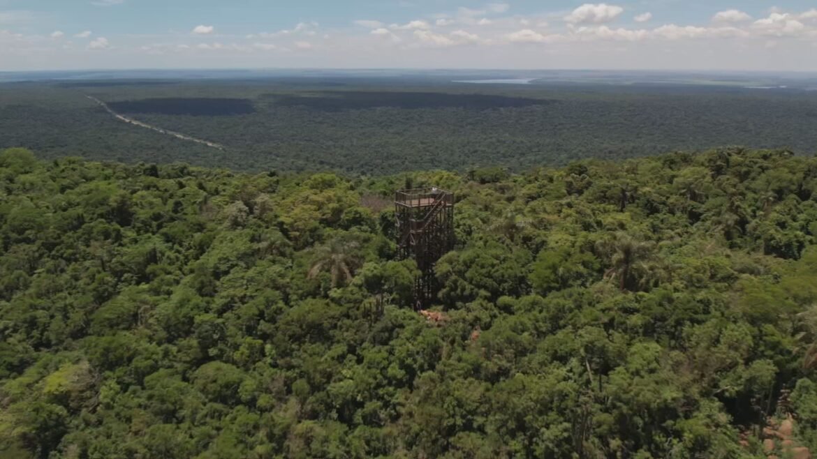 parque-estadual-morro-do-diabo:-maior-mata-atlantica-do-interior-sp-|-g1