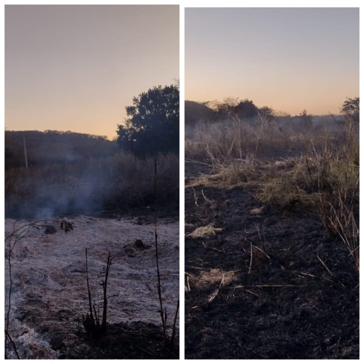 incendio-atinge-plantacao-de-milho-e-mobiliza-bombeiros-na-zona-rural-de-montes-claros