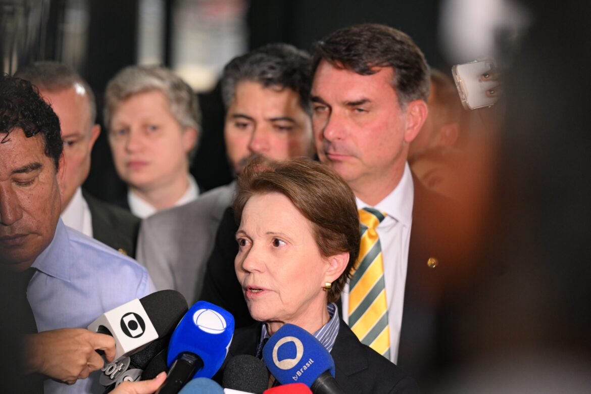 tereza-cristina-admite-pela-1a-vez-possibilidade-de-ser-vice-de-flavio-bolsonaro