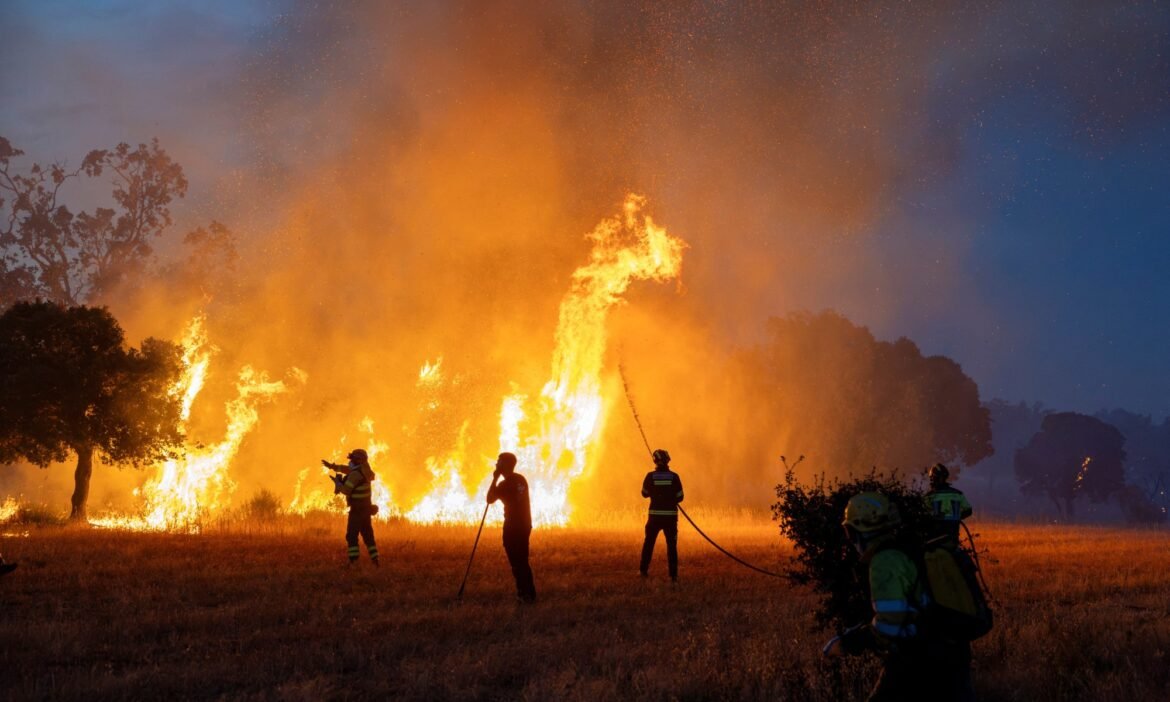 fumaca-de-incendios-florestais-prejudica-saude-a-longo-prazo