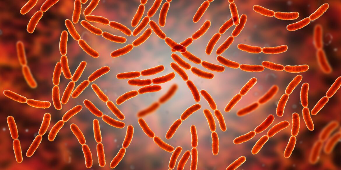 bacteria-benefica-do-utero-pode-melhorar-fertilidade-de-mulheres-acima-dos-35,-indica-estudo
