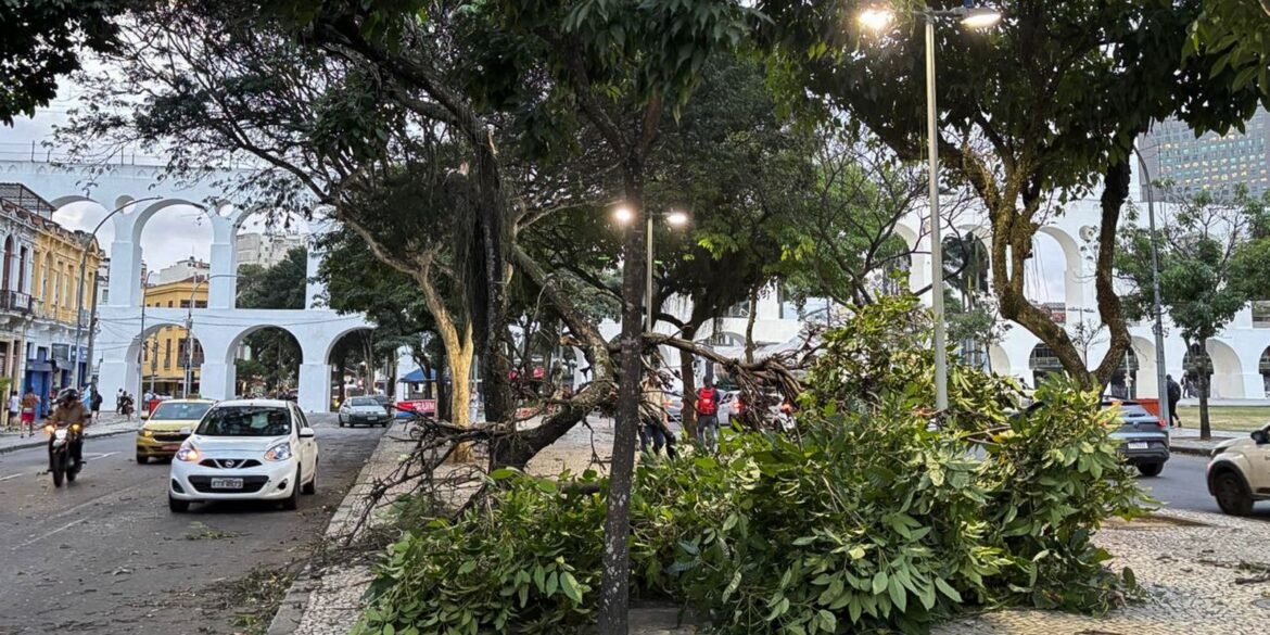 ventania:-moradores-do-rio-acordam-sob-alerta;-saiba-o-que-fazer