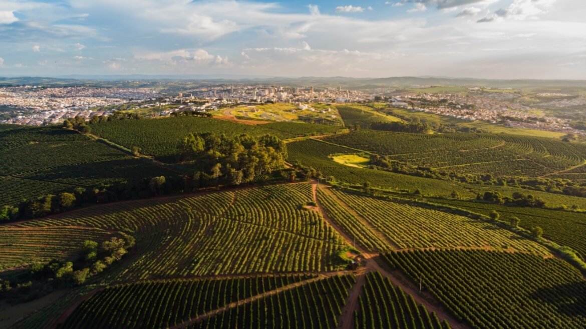 como-estoques-recordes-e-avanco-do-agro-brasileiro-podem-reduzir-impacto-do