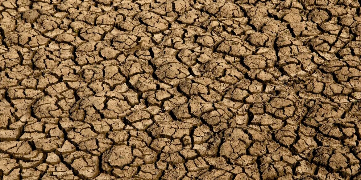desertificacao-no-brasil-ameaca-seguranca-hidrica-e-alimentar