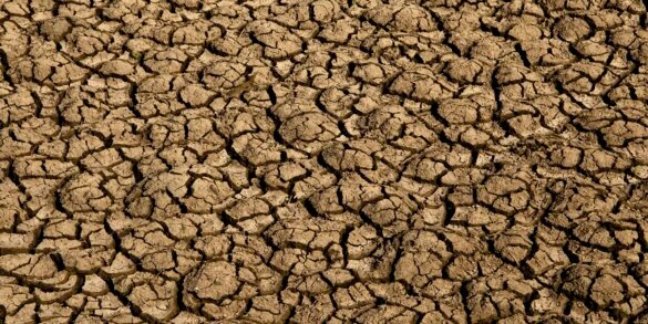 desertificacao-no-brasil-ameaca-seguranca-hidrica-e-alimentar