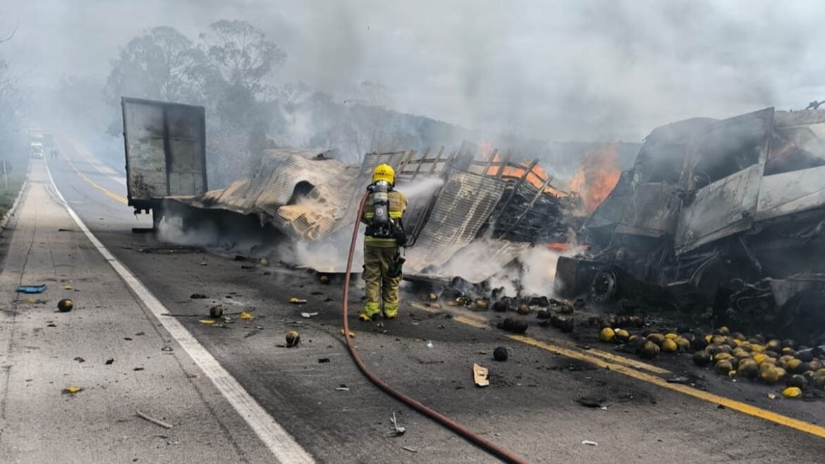 duas-carretas-pegam-fogo-apos-batida-na-br-251-e-duas-pessoas-ficam-feridas