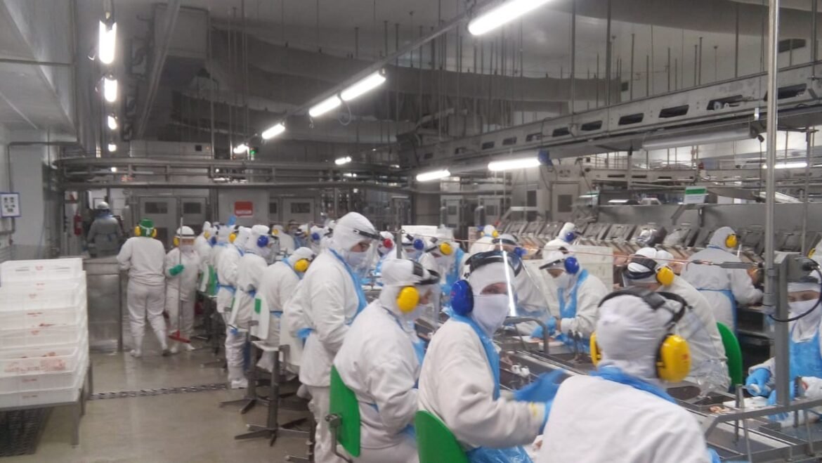 uniaves-e-pif-paf-sao-condenados-por-jornada-excessiva-de-funcionarios-|-g1