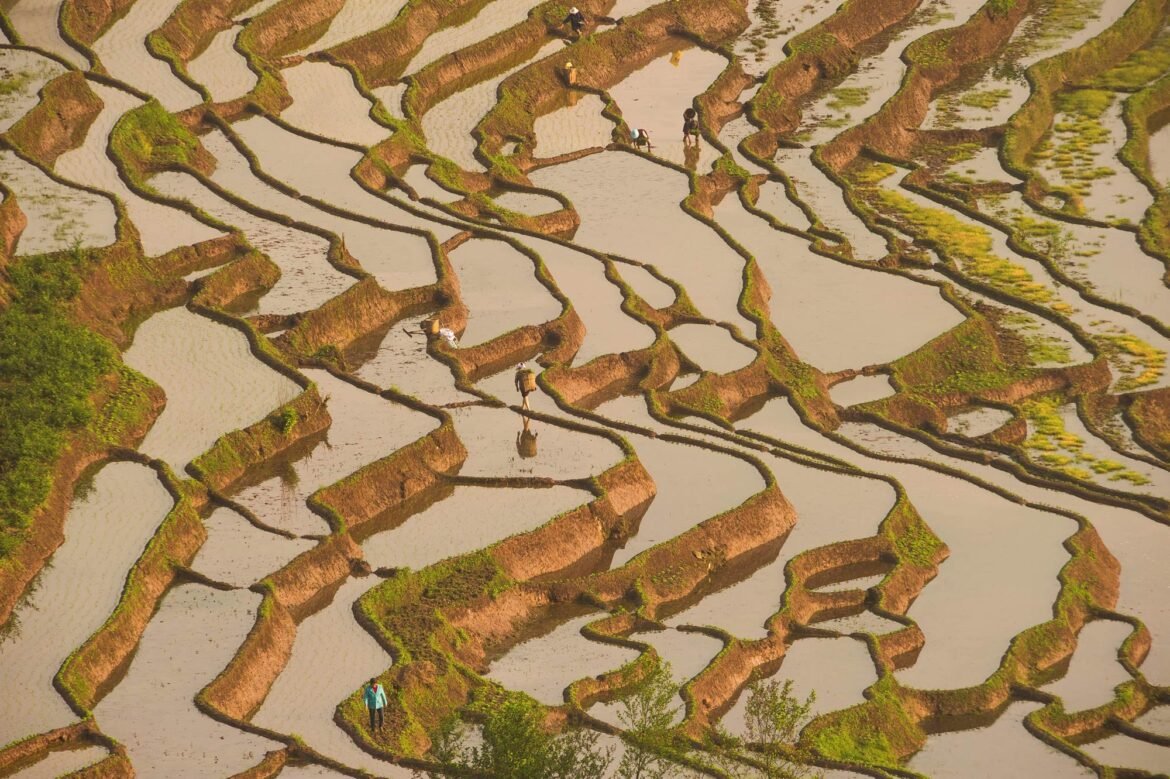 china-reduz-importacao-de-alimentos-e-amplia-producao-agricola.-|-g1