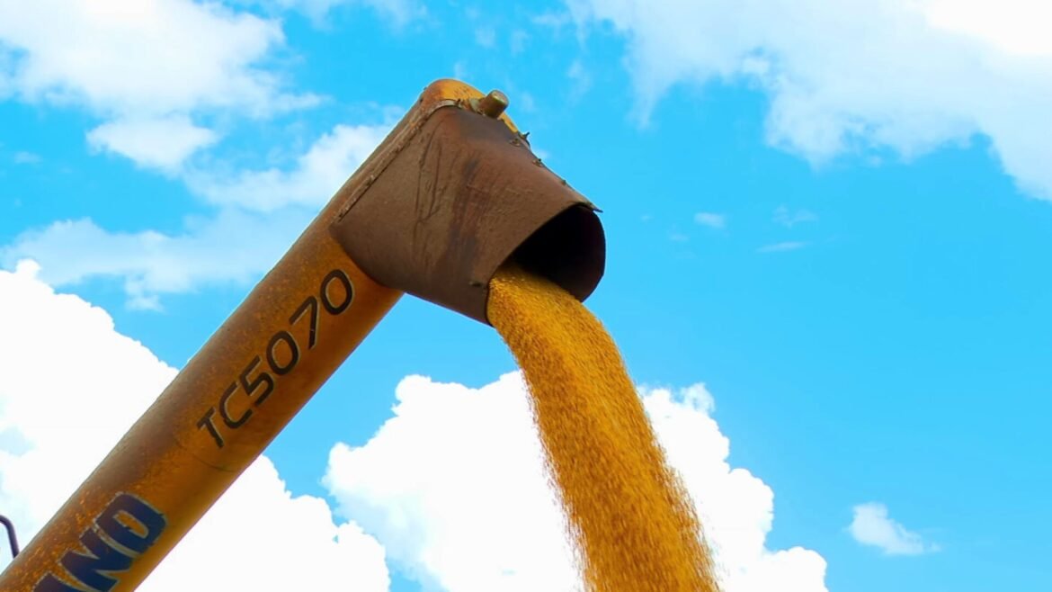 pib-perde-forca-no-2o-tri:-os-3-desafios-para-o-proximo-presidente-na-economia-|-g1