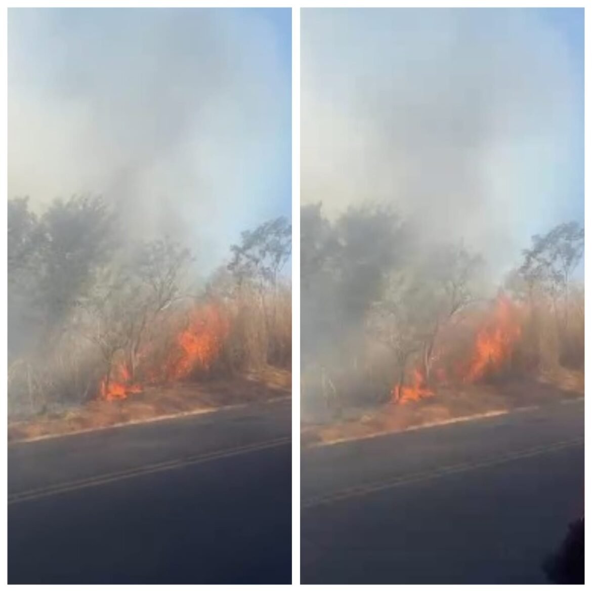 incendio-atinge-area-de-vegetacao-as-margens-da-br-365-e-mobiliza-bombeiros-e-brigadistas