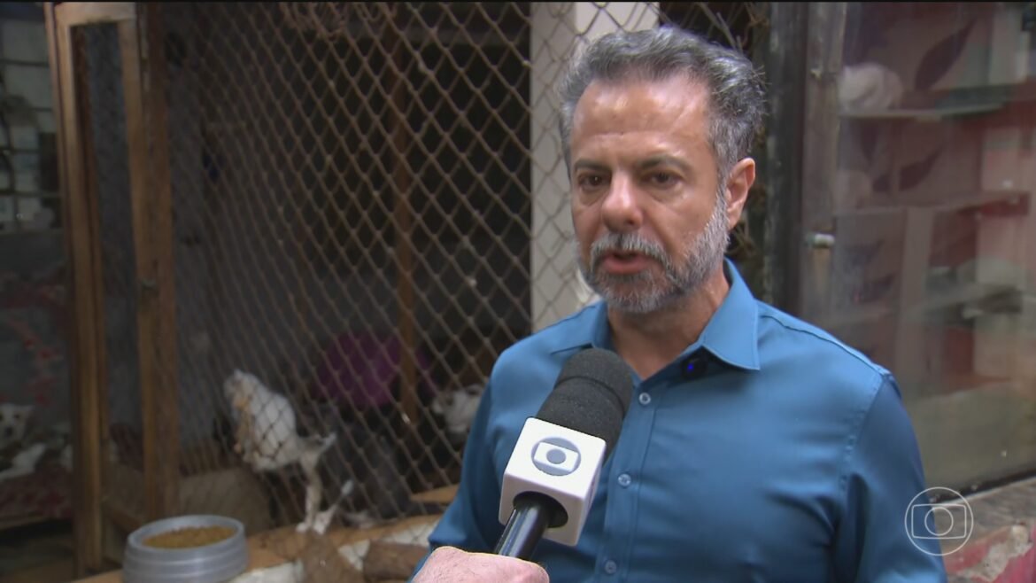 toffoli-libera-campanha-digital-do-wilson-grassi,-candidato-a-presidencia-da-republica