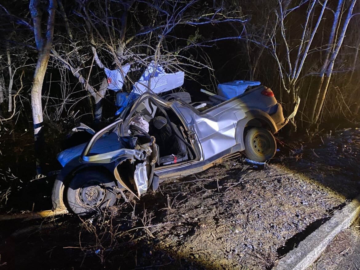 motorista-morre-apos-caminhonete-bater-em-arvore-na-mgc-401