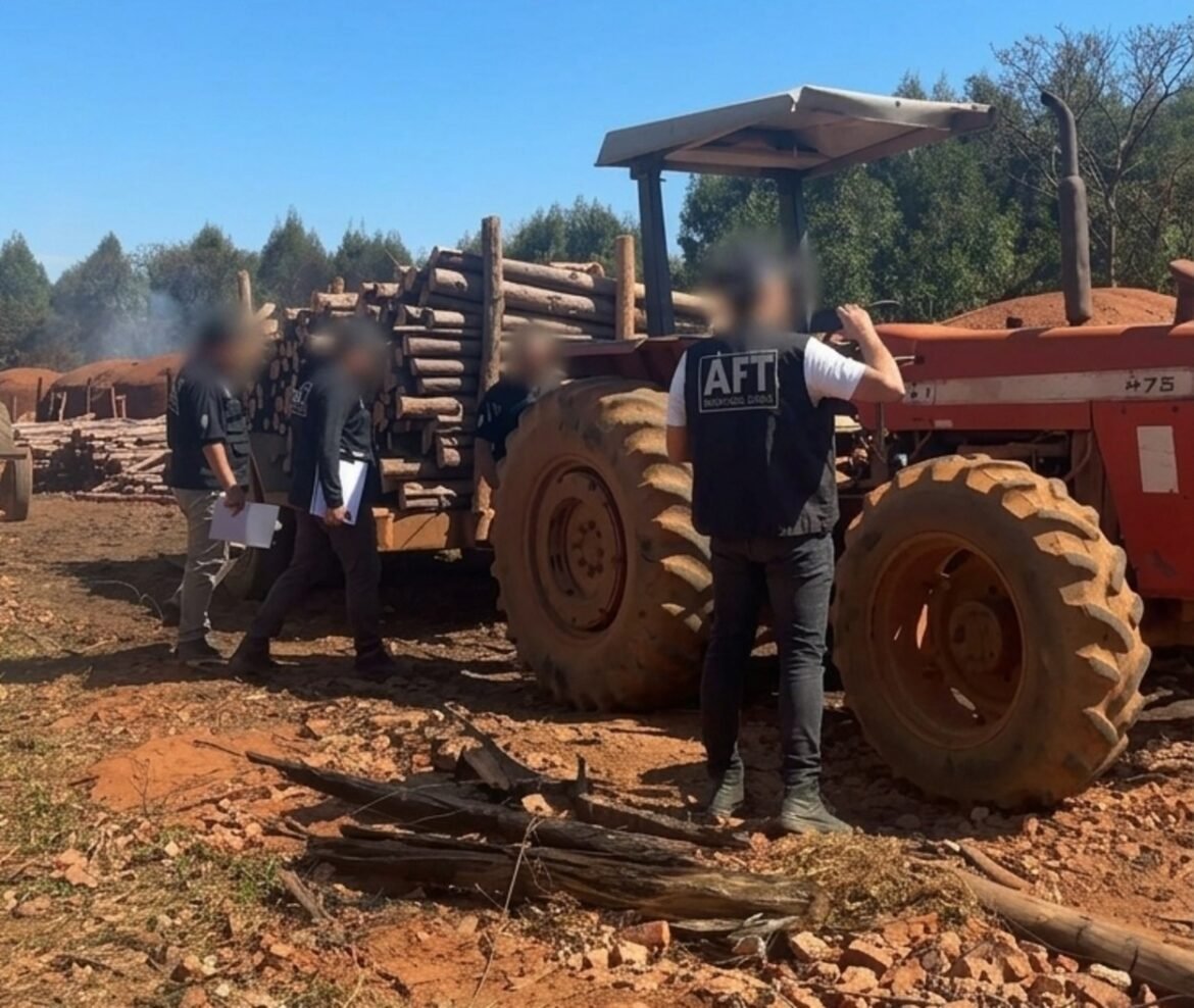 operacao-resgata-51-trabalhadores-em-condicoes-analogas-a-escravidao-no-norte-de-mg