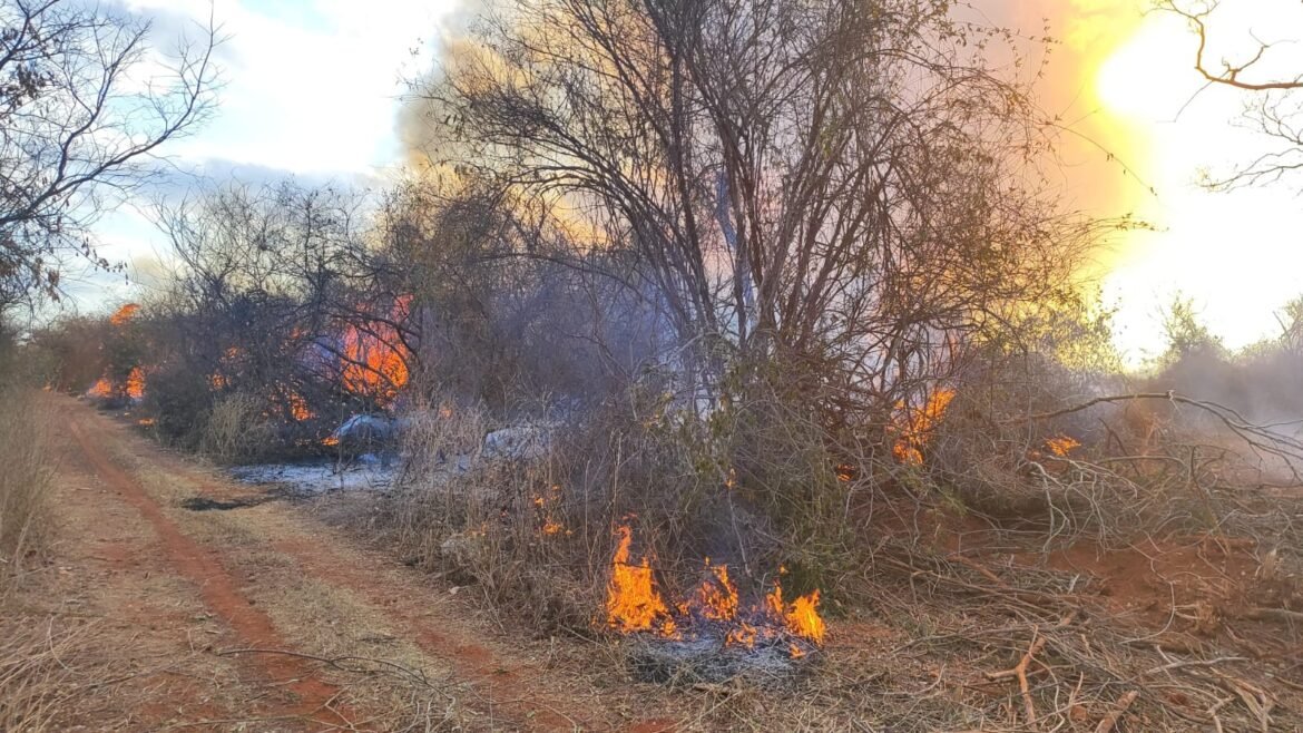 incendio-mobiliza-bombeiros-por-oito-horas-em-area-rural-de-capitao-eneas