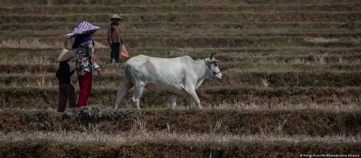 clima-e-escassez-alimentar-elevam-risco-de-guerras-no-mundo-|-g1
