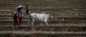 clima-e-escassez-alimentar-elevam-risco-de-guerras-no-mundo-|-g1