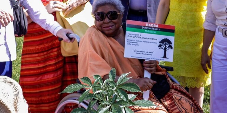 morre-zelia-amador-de-deus,-referencia-da-luta-antirracista-no-para
