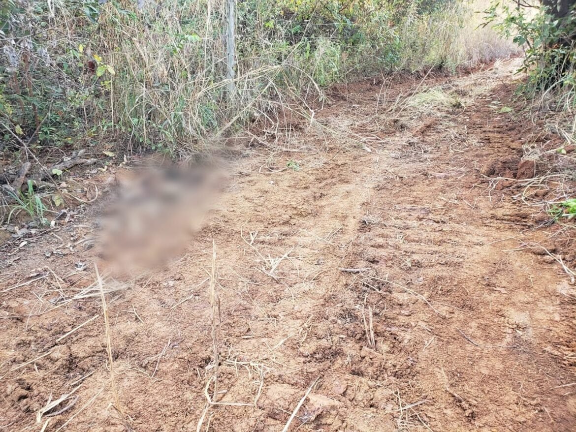 ossada-humana-e-encontrada-em-fazenda-na-zona-rural-de-riachinho
