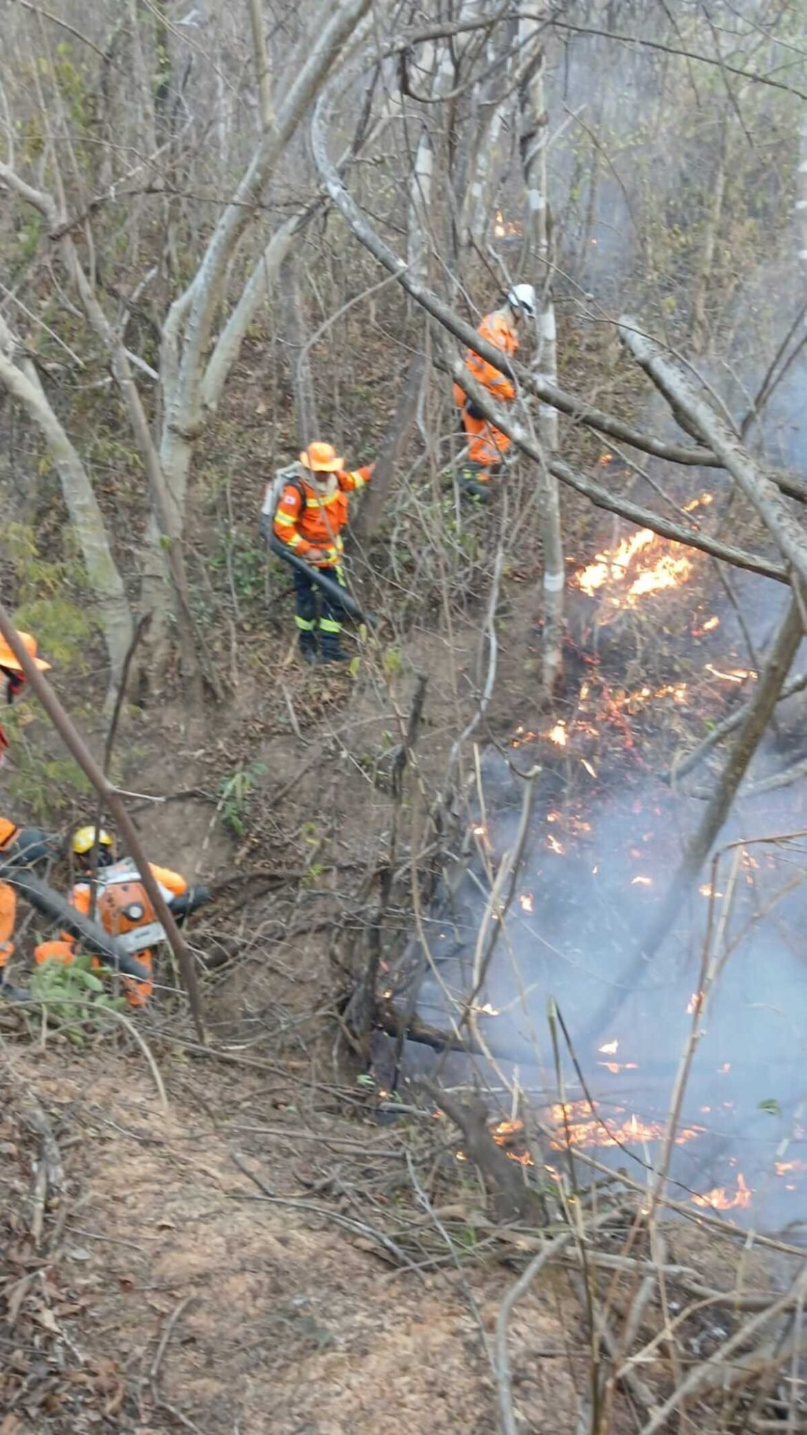 incendio-em-area-de-vegetacao-mobiliza-bombeiros-em-montes-claros