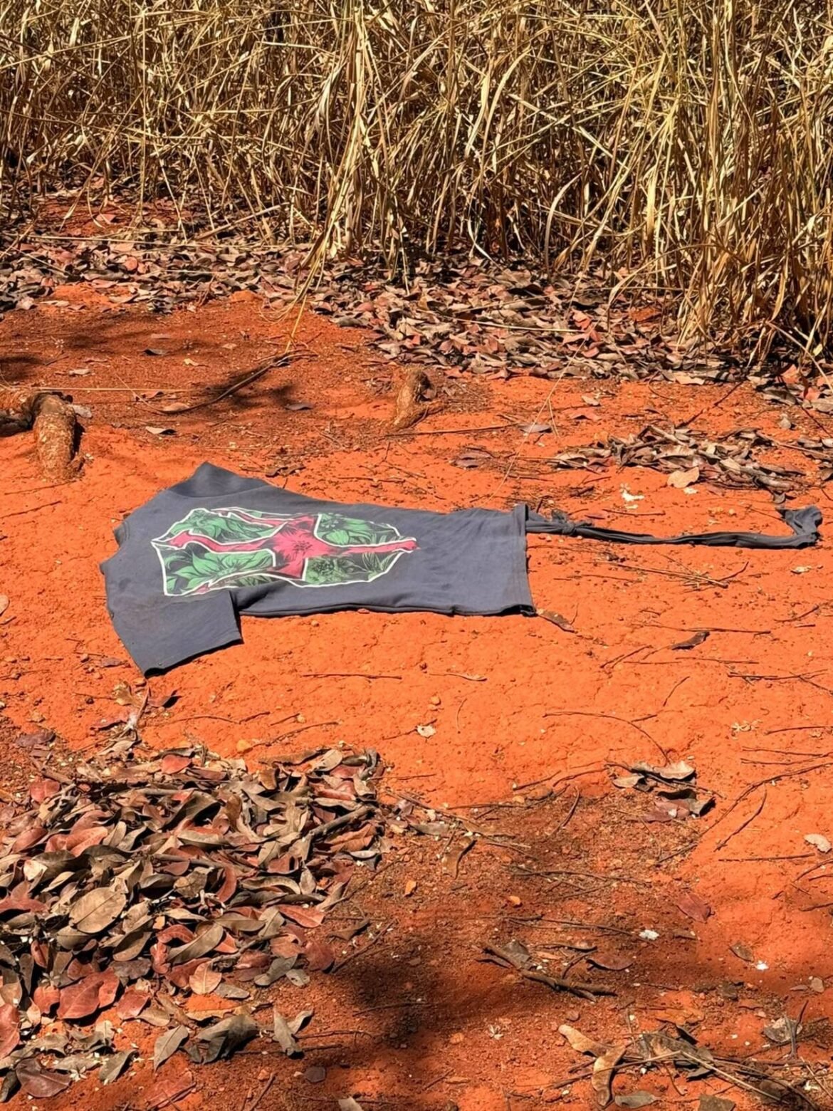 homem-desaparecido-ha-5-dias-e-encontrado-morto-as-margens-da-br-251