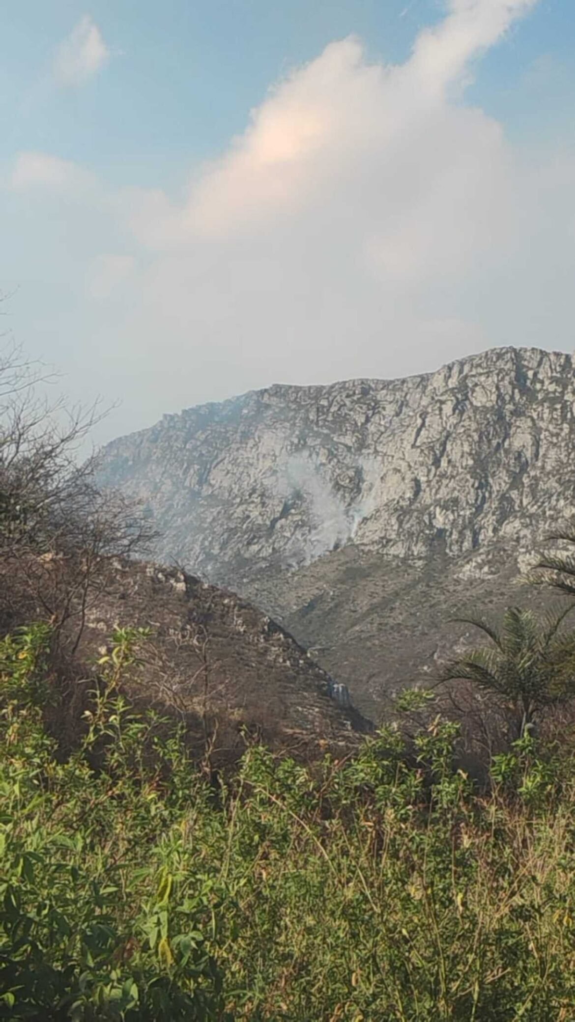 bombeiros-enfrentam-2-horas-de-trilha-para-chegar-a-incendio-florestal-no-norte-de-mg