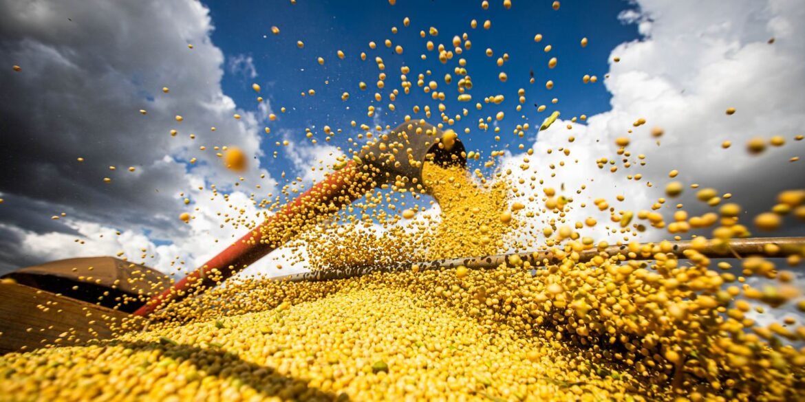 producao-agricola-brasileira-superou-r$-927-bilhoes-em-2025