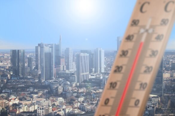 calor-extremo-esta-associado-a-33-diagnosticos-que-vao-alem-de-desidratacao-e-insolacao