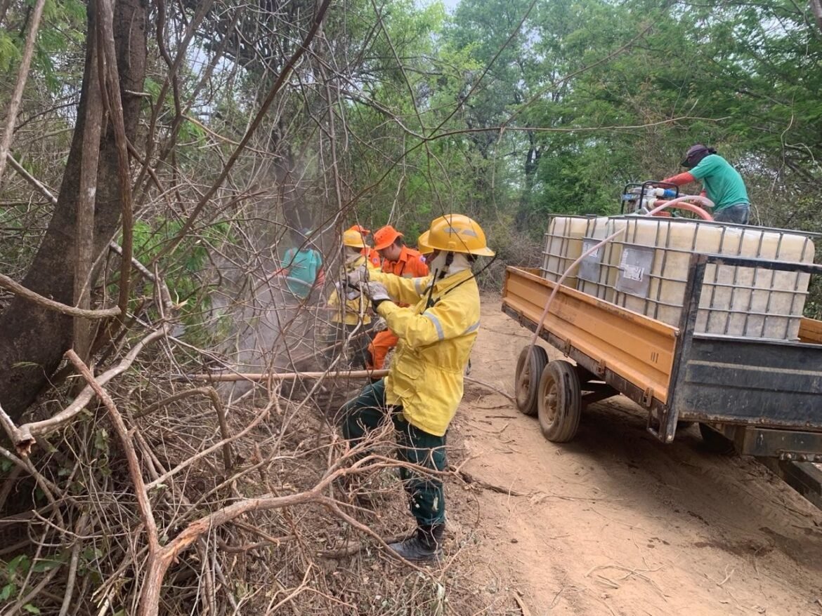 incendio-atinge-60-hectares-de-vegetacao-em-area-de-protecao-ambiental-de-jaiba