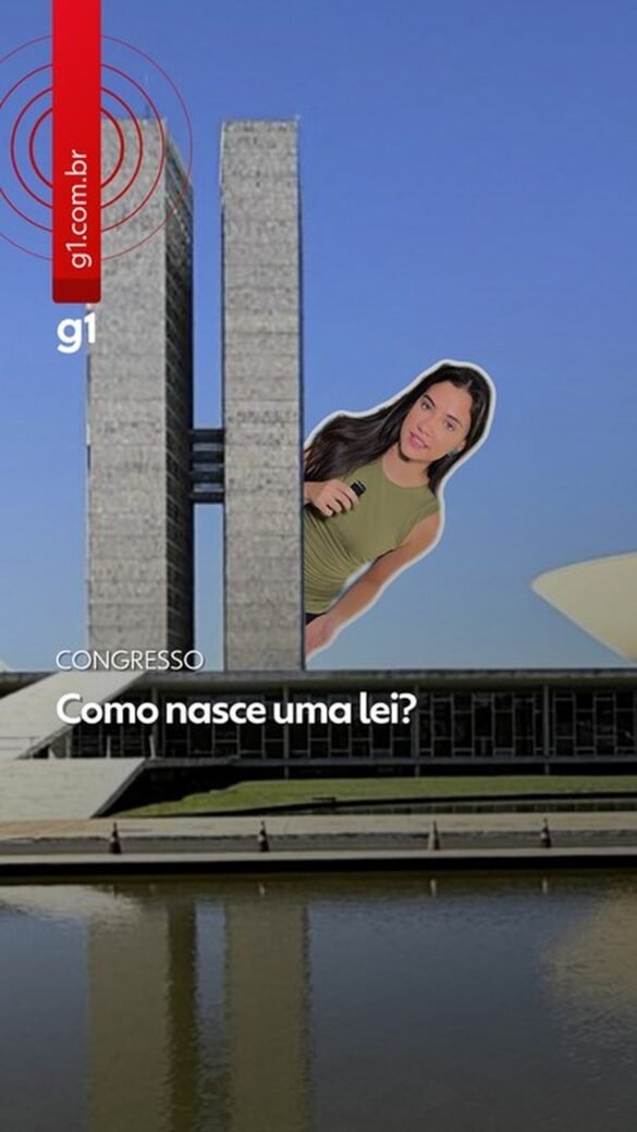 video:-como-nascem-as-leis-e-qual-o-caminho-para-aprovacao-no-congresso?