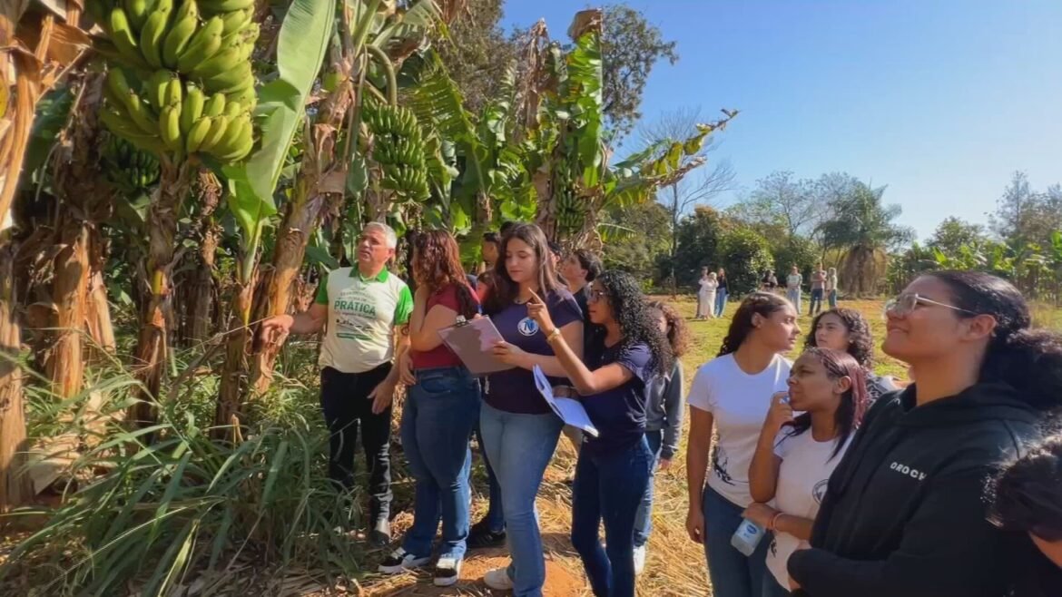 projeto-leva-alunos-de-promissao-a-vivenciar-rotina-do-campo-|-g1