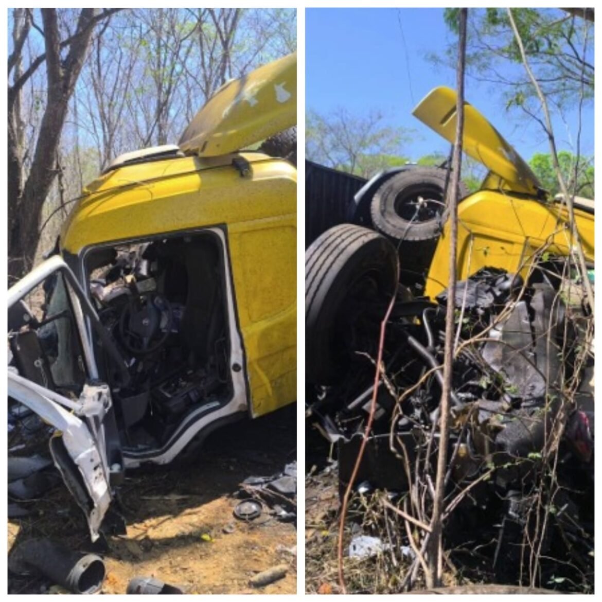 motorista-de-carreta-dorme-ao-volante,-atinge-lateral-de-outra-carreta,-sai-da-pista-e-bate-em-arvore-na-br-135