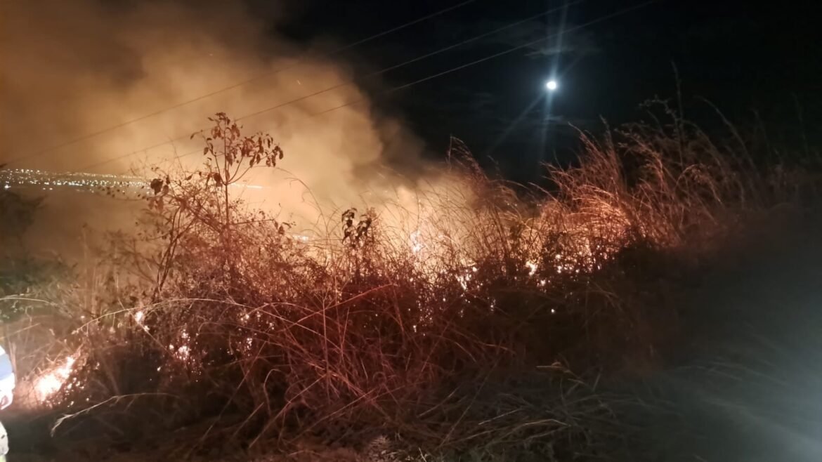 video:-incendio-destroi-area-de-vegetacao-as-margens-da-mgc-135,-em-montes-claros;-bombeiros-apontam-indicios-de-acao-intencional