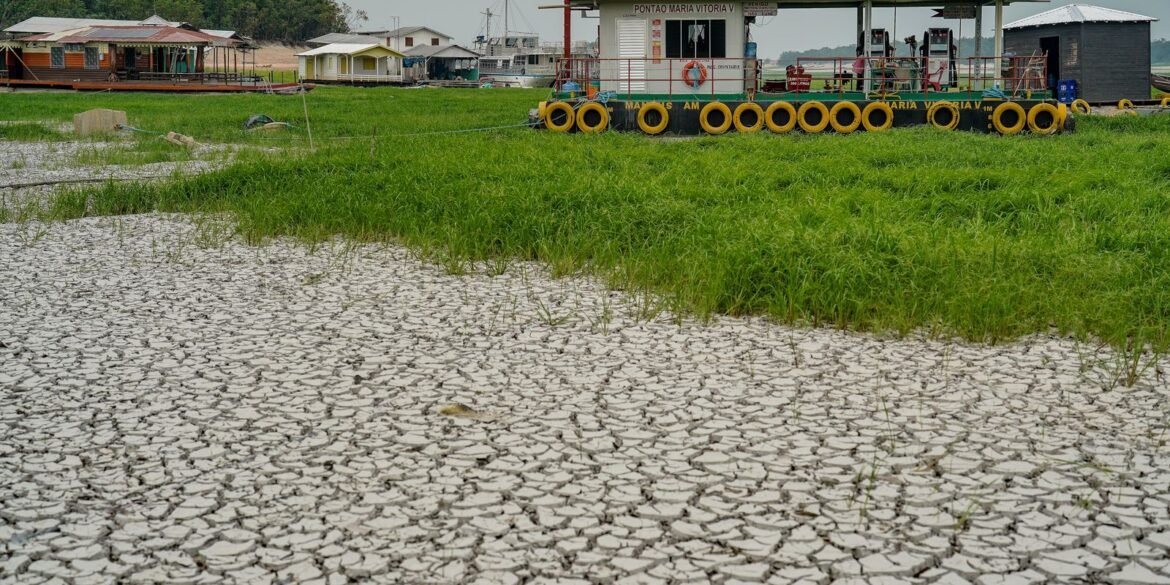campanha-arrecada-alimentos-para-afetados-por-seca-no-amazonas
