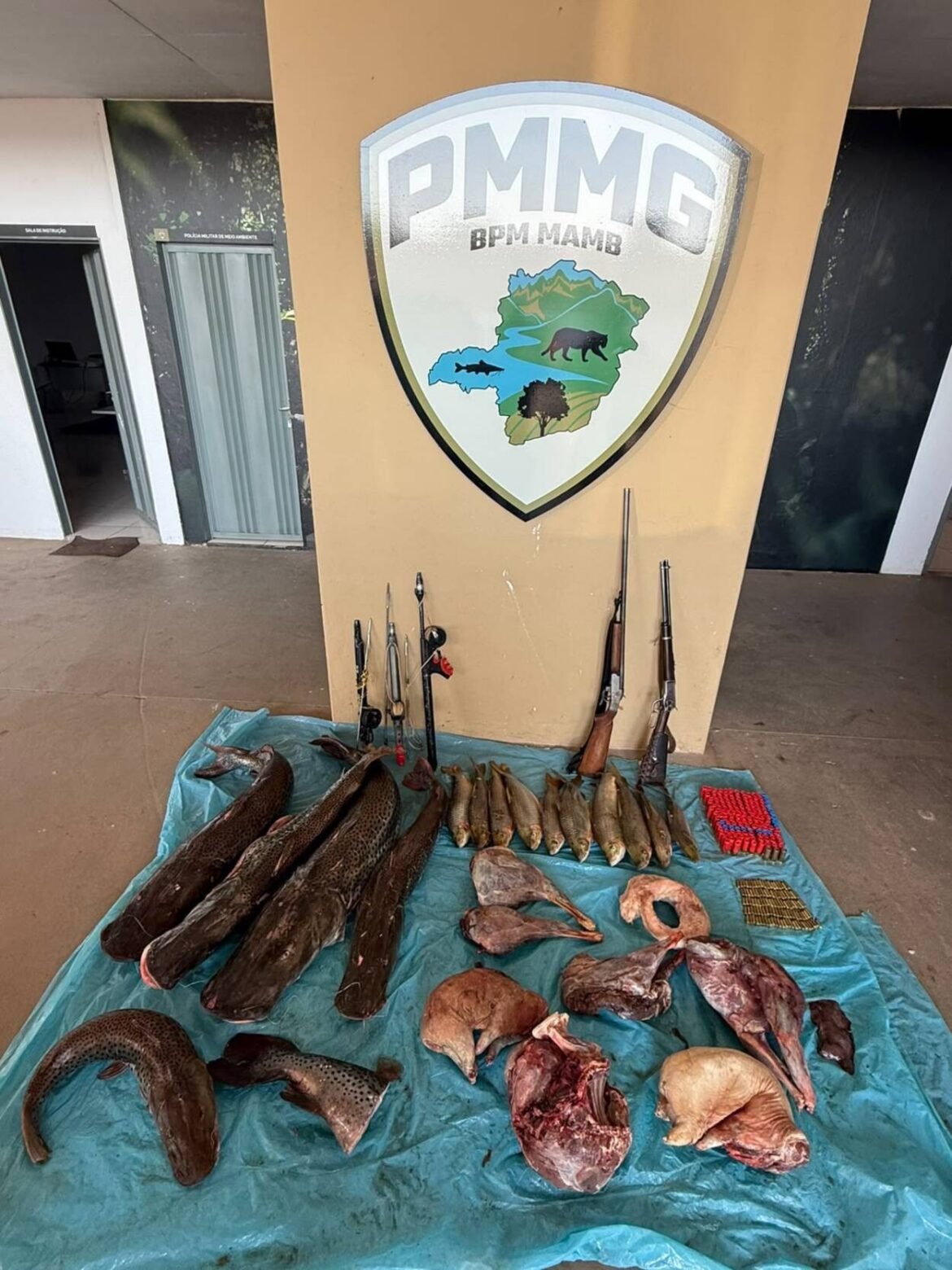 pm-apreende-carne-de-paca,-cateto-e-jacare-e-prende-dois-homens-em-mg