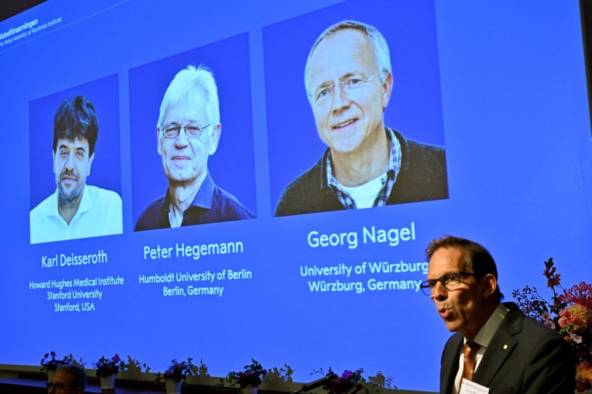 estrelas-acesas-no-cerebro-e-a-alga-que-deu-origem-ao-nobel-de-medicina