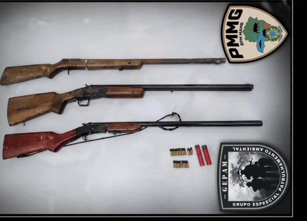 pm-apreende-carne-de-jacare-e-capivara-e-recolhe-armas-em-mg