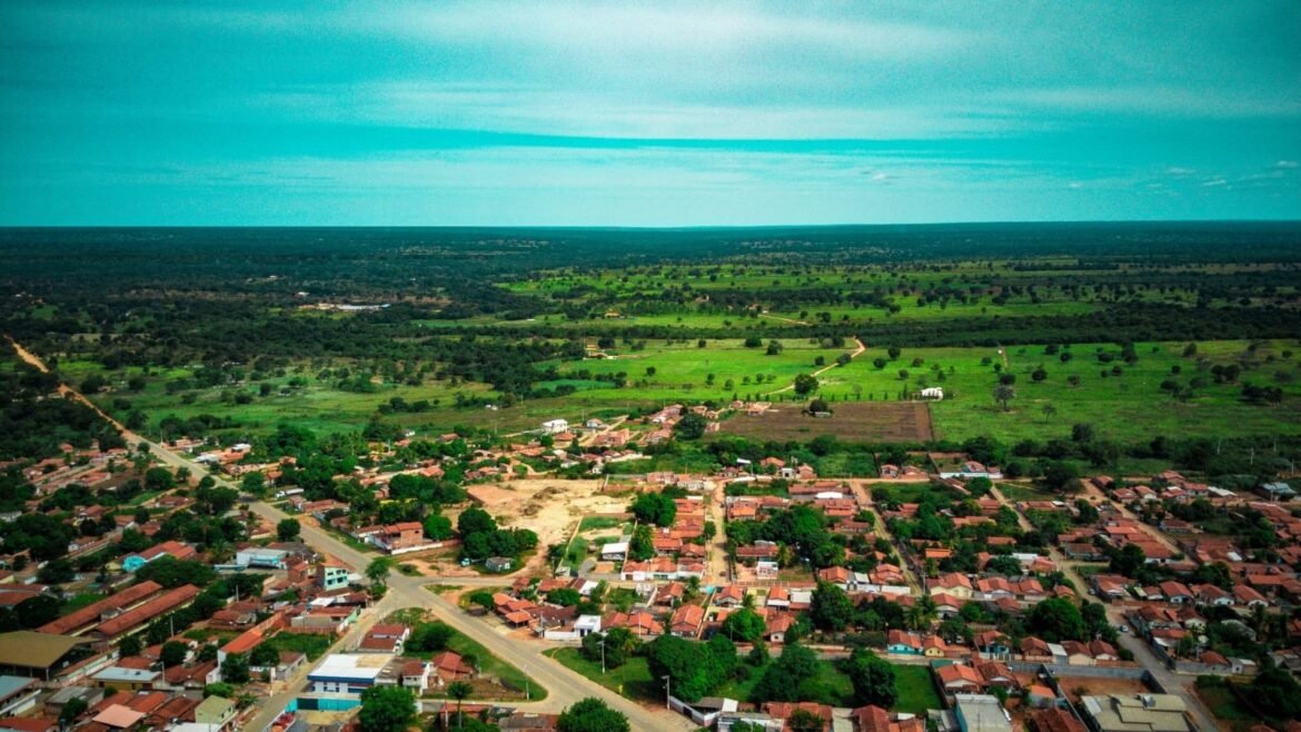 prd,-pt-e-pl-lideraram-votacao-em-cidade-onde-duda-salabert,-deputada-federal-reeleita-por-mg,-teve-apenas-um-voto;-veja-ranking