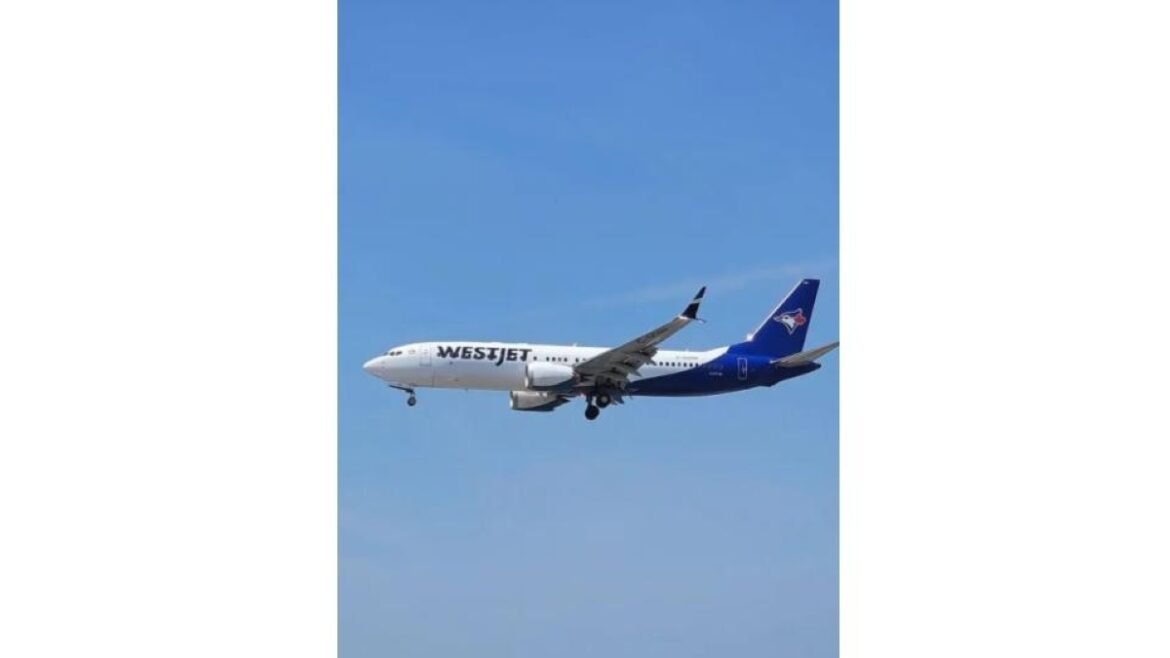 anac-autoriza-nova-aerea-canadense-a-voar-para-o-brasil;-veja-quando-comecam-os-voos-|-g1