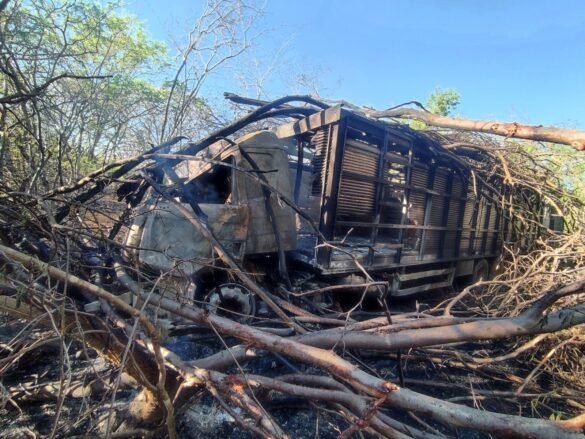 caminhao-boiadeiro-bate-em-arvore-e-pega-fogo-na-mgc-122,-em-janauba