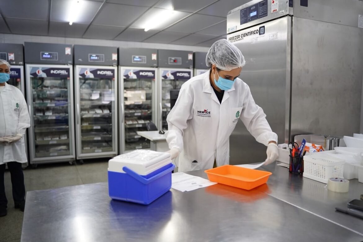 bolsa-de-sangue-raro-cruza-o-pais-na-cabine-de-aviao-comercial-para-chegar-a-paciente-transplantado