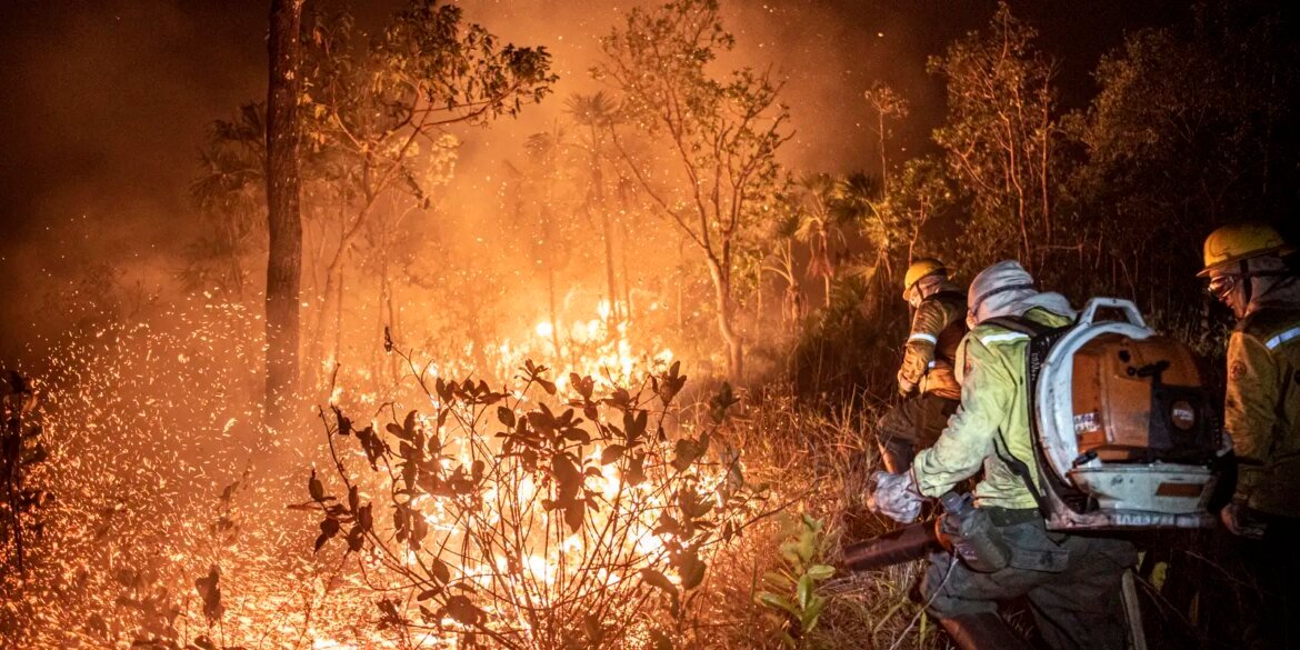 ibama-extingue-229-incendios-no-amazonas-e-segue-no-combate-ao-fogo