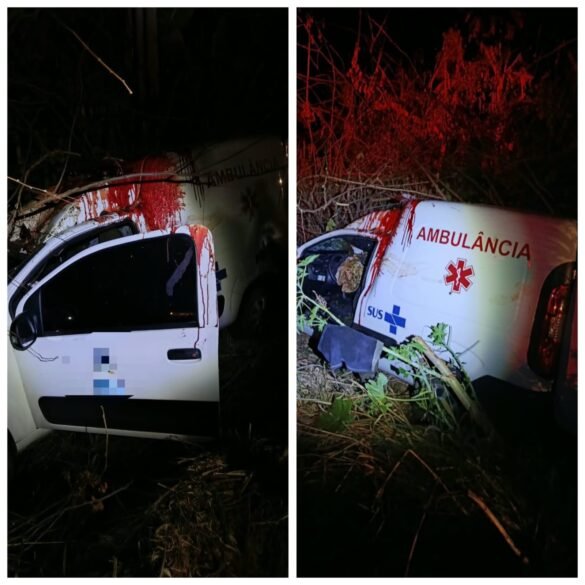 ambulancia-bate-em-cavalo-na-estrada-da-producao,-em-montes-claros;-animal-morreu-no-local
